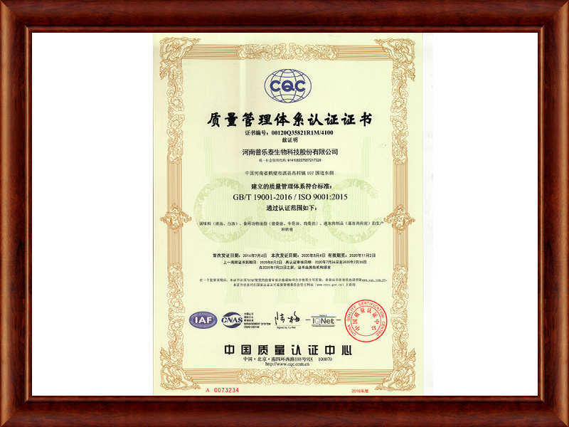 ISO9001質(zhì)量管理體系認證證書（中文）